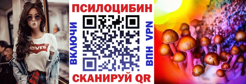 Псилоцибиновые грибы Psilocybe  Поворино 